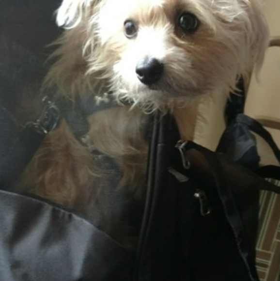 Meet Your Posher - - Picture 13 of 16